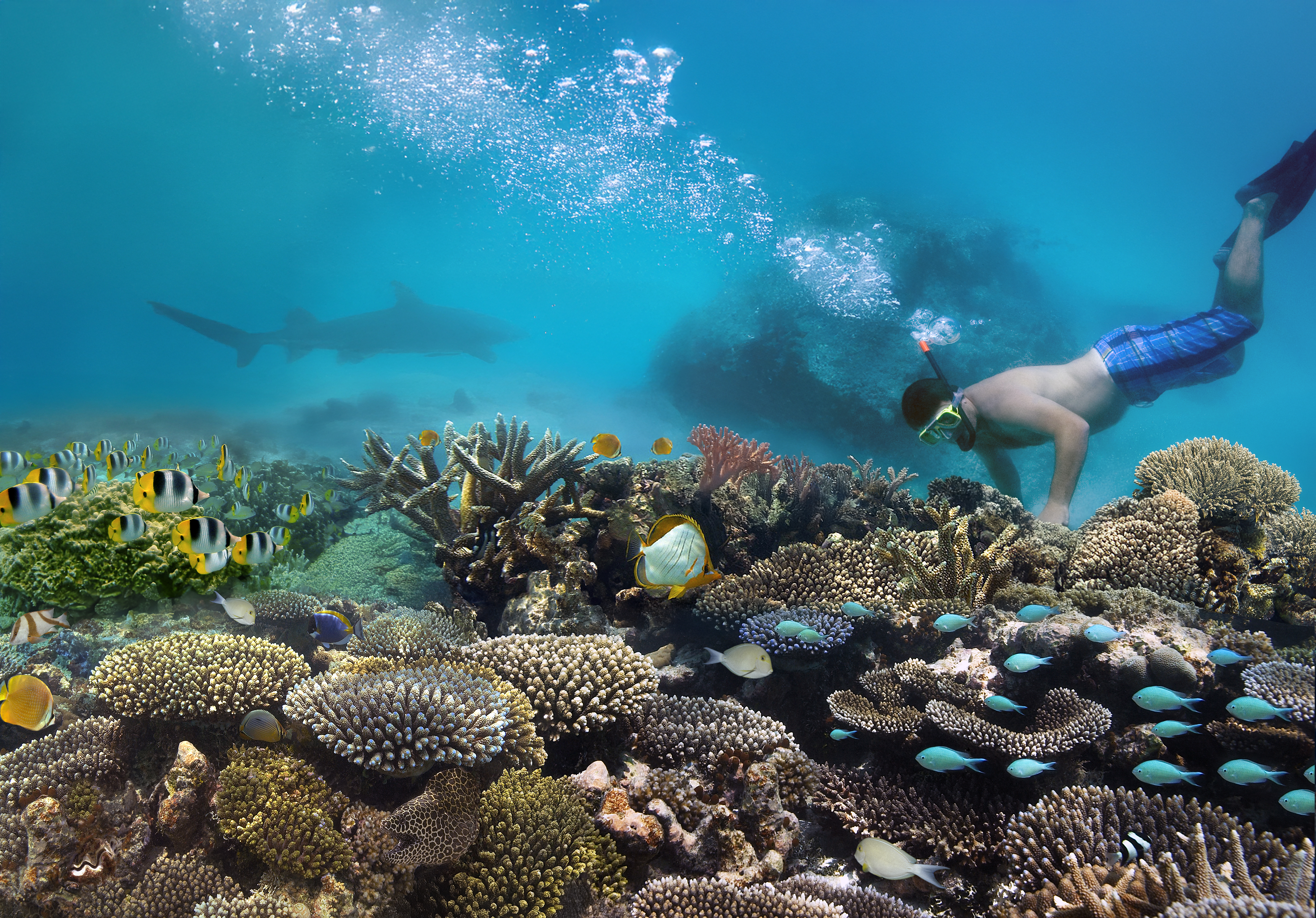 Snorkeling